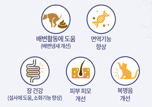 펫 유산균 고르는 법