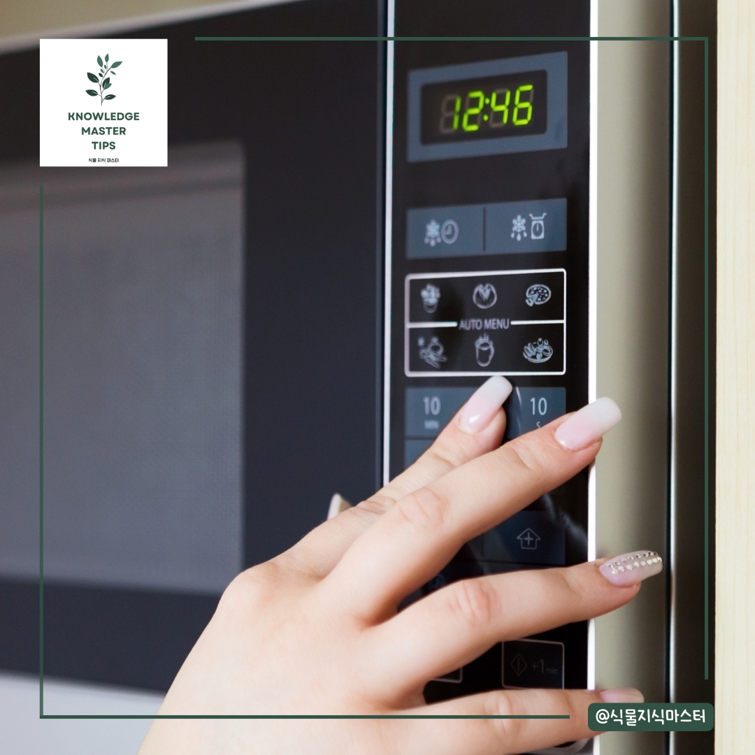 흙 소독 전자레인지 소독 방법