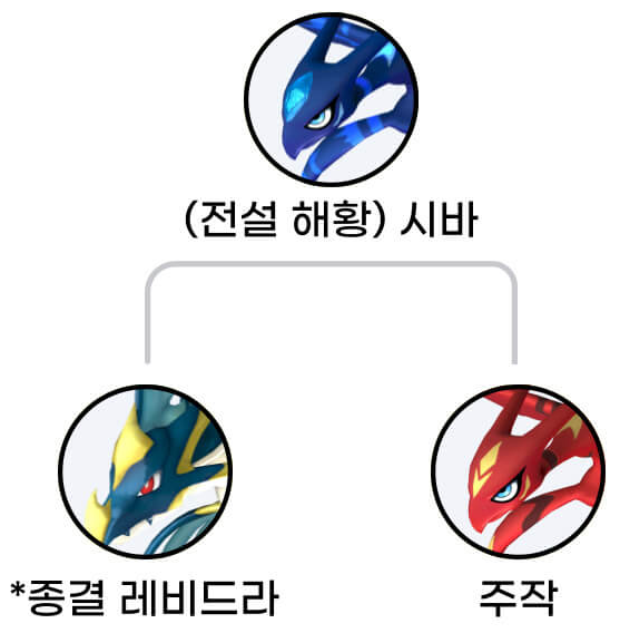 시바 교배 가이드