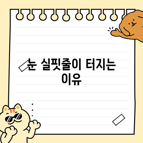 눈 실핏줄이 터지는 이유