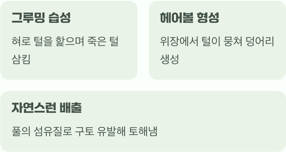 첫째, 헤어볼, 시원하게 뱉어내는 방법