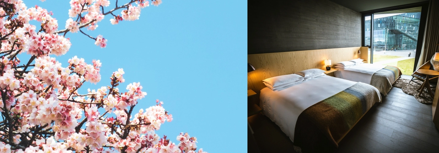 진해 군항제 숙박