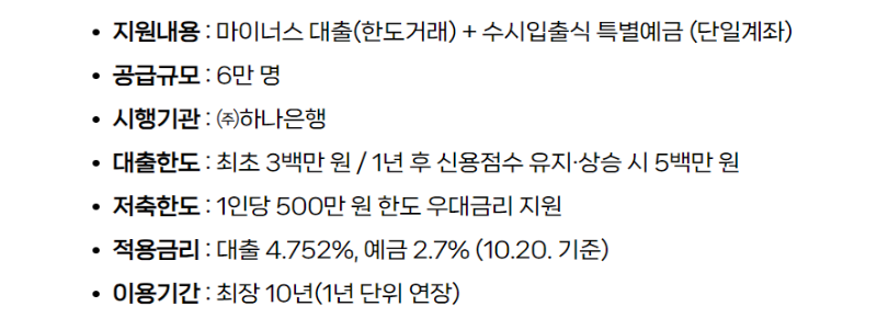 지원내용 요약