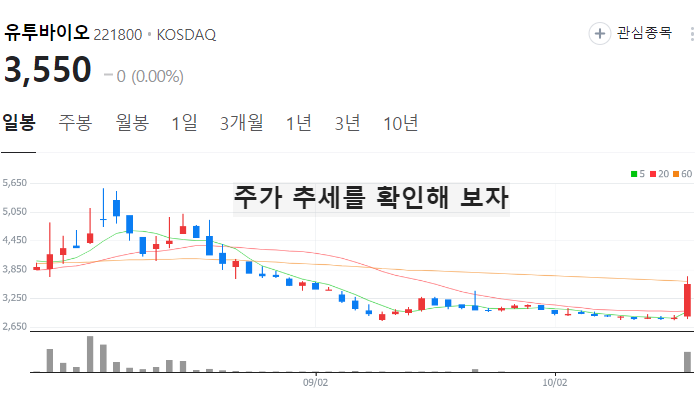 원숭이두창 엠폭스 관련주 대장주 테마주 TOP7