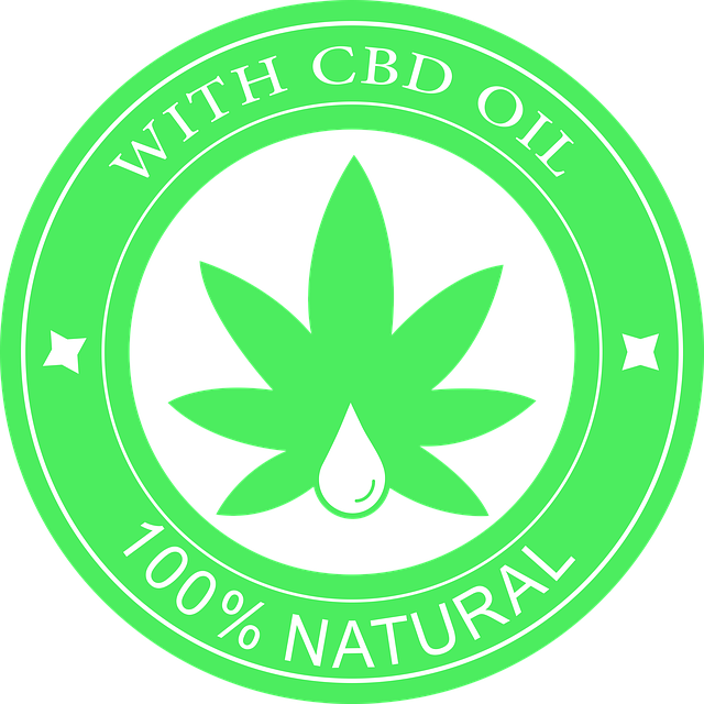 생들기름 먹는 법, 똑똑한 활용법