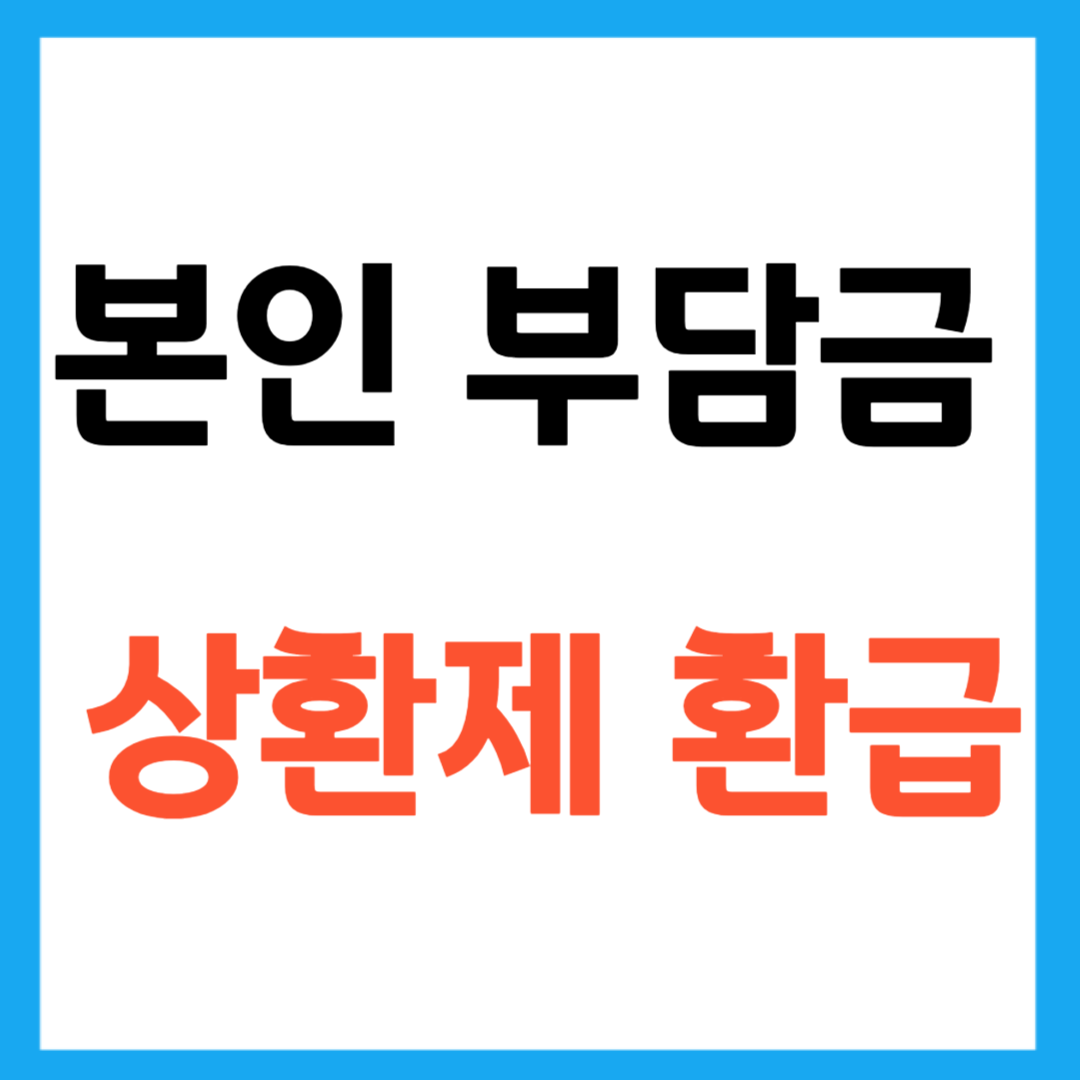 본인부담금 상한제