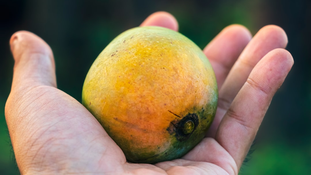 Mango