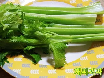 샐러리 재배 모종 심기 재배 거리 수확 연장_4