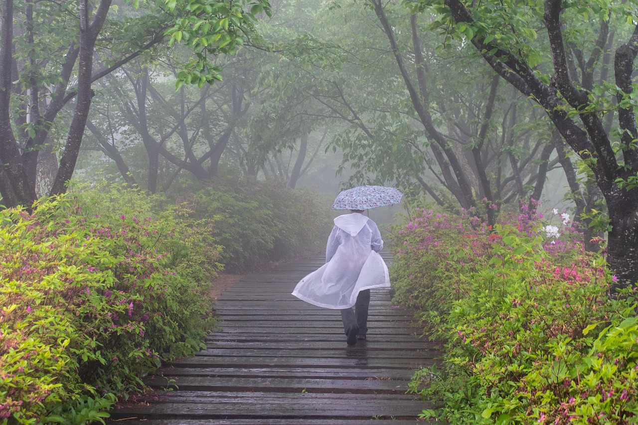 2025 서울 장마기간