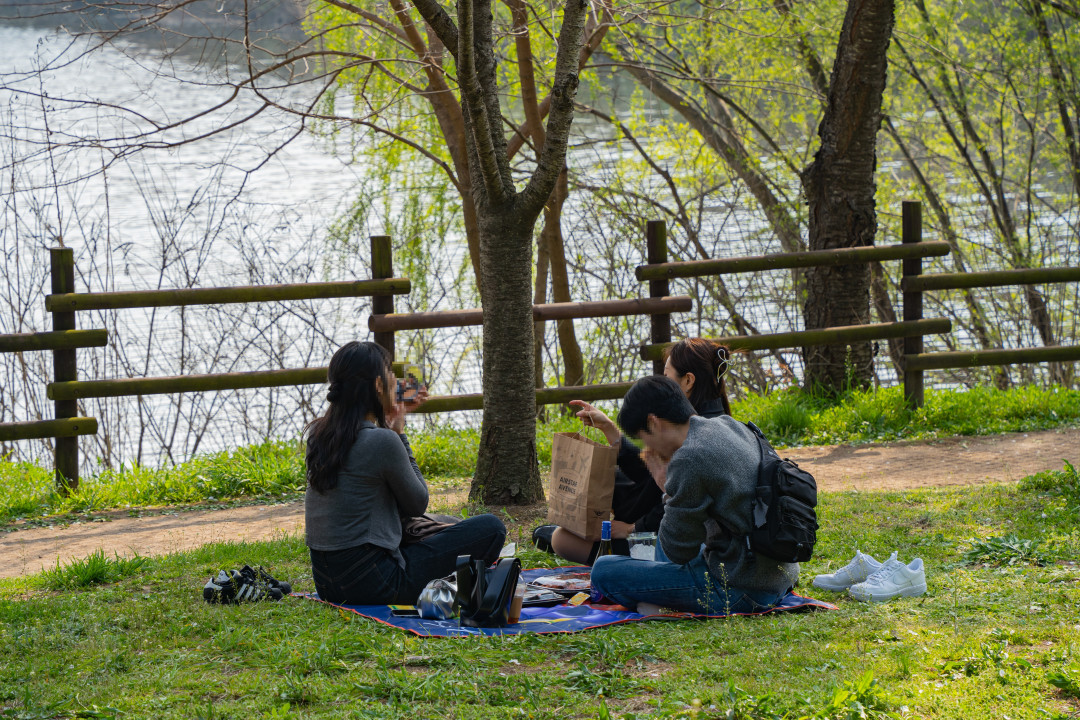 수원 서호공원 피크닉