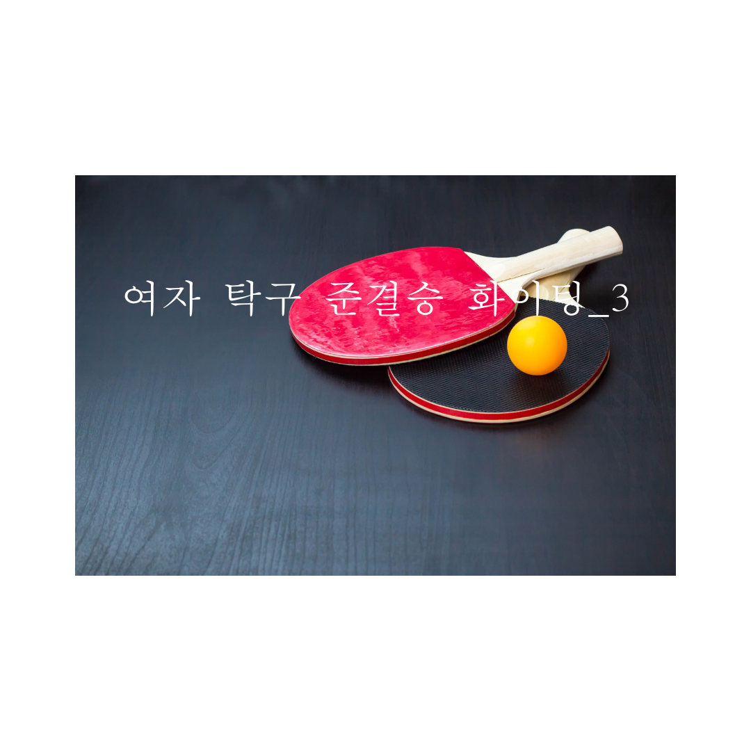 여자탁구 화이팅_3