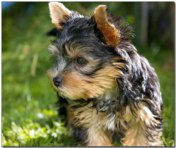 ์๊ธฐ ์ํฌ์
ํ
๋ฆฌ์ด