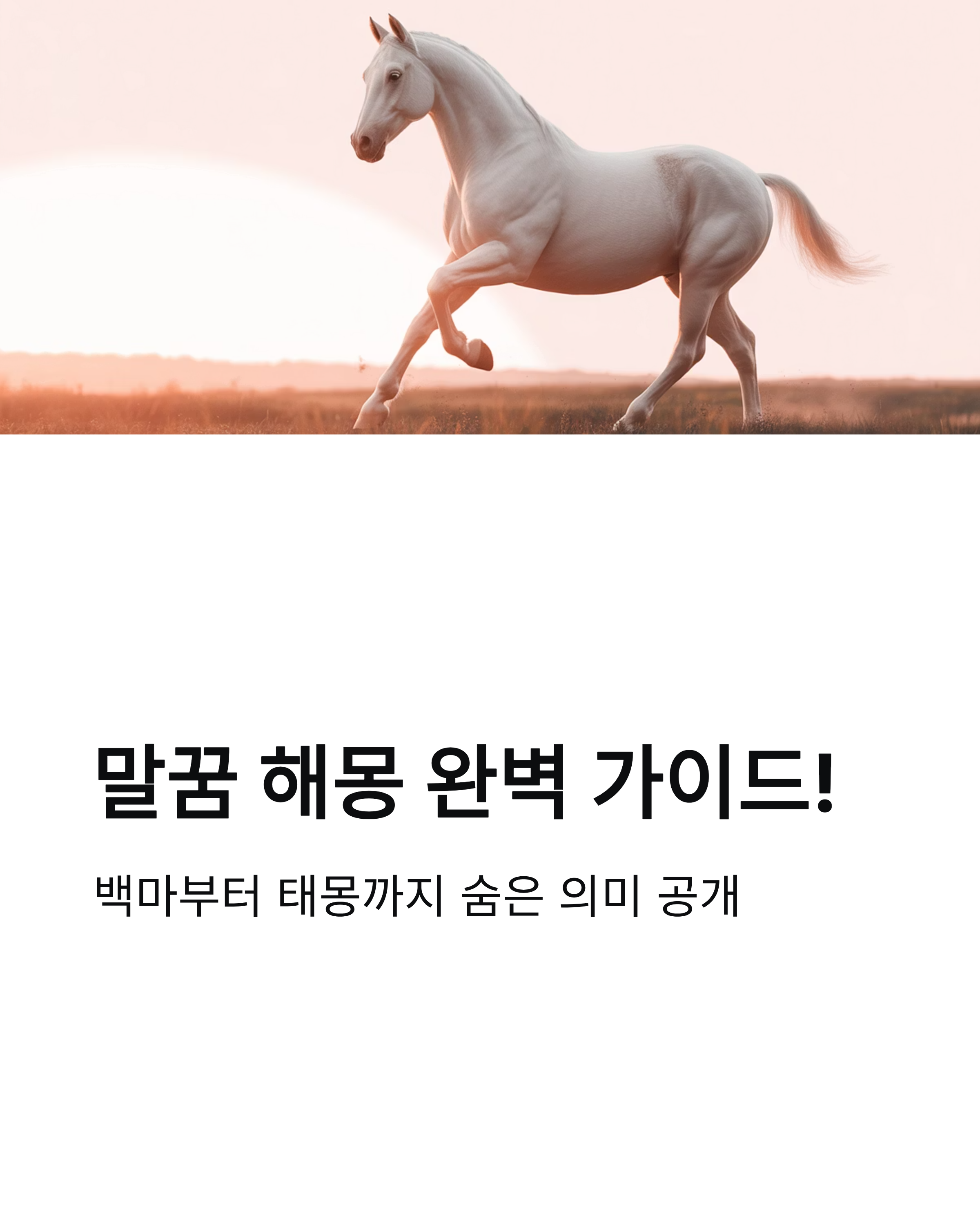 말꿈 해몽 완벽 가이드! 백마부터 태몽까지 숨은 의미 공개