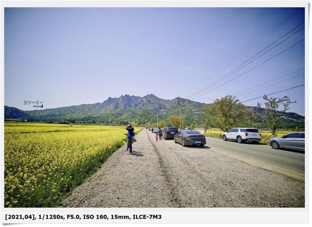 산린이도 갈 수 있는 전라도 월출산 구름다리, 유채피는 봄에가면 좋은 여행지!