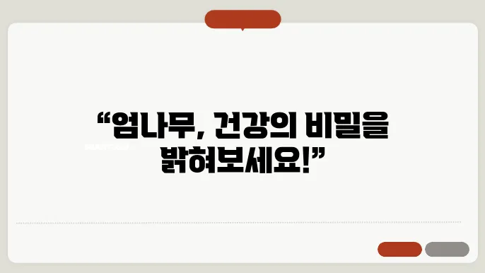 엄나무 효능 부작용 재배방법