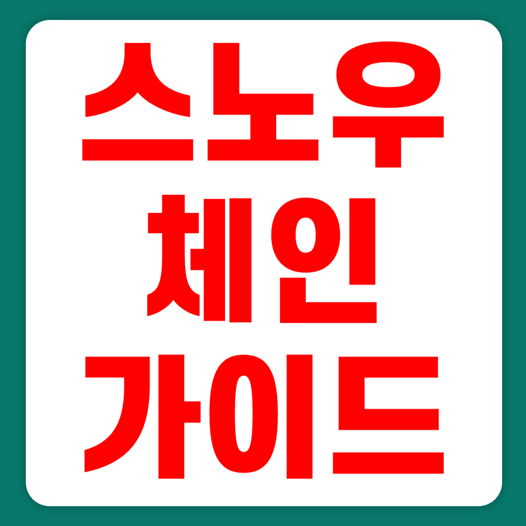 스노우 체인 종류 및 선택 가이드(+2023)