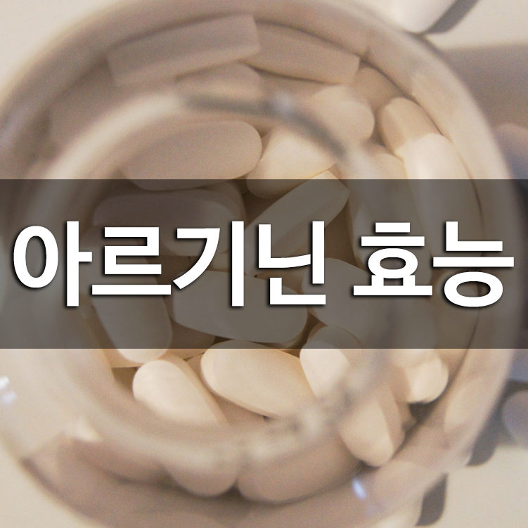 아르기닌 효능