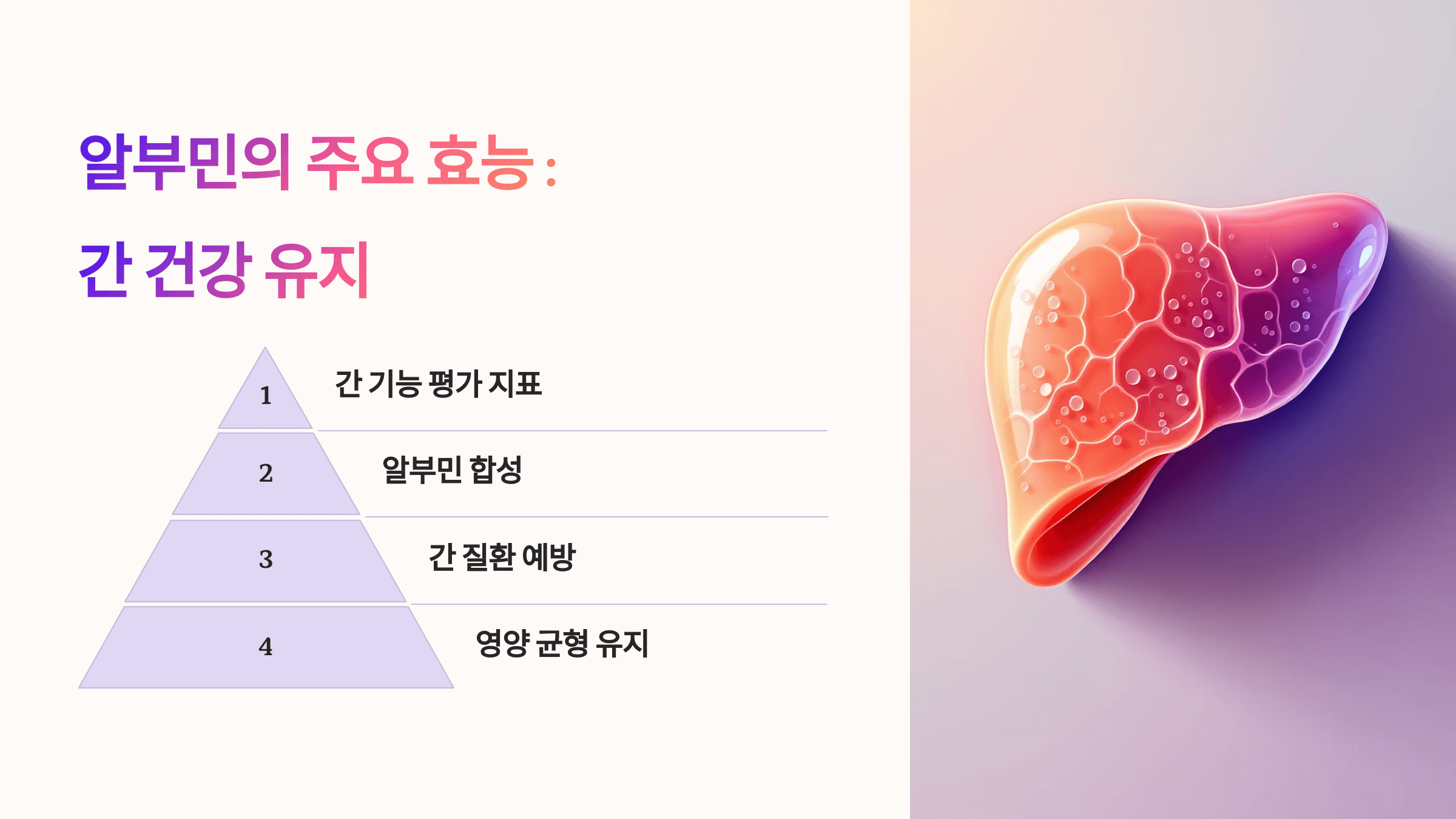 알부민과 관련된 사진입니다.