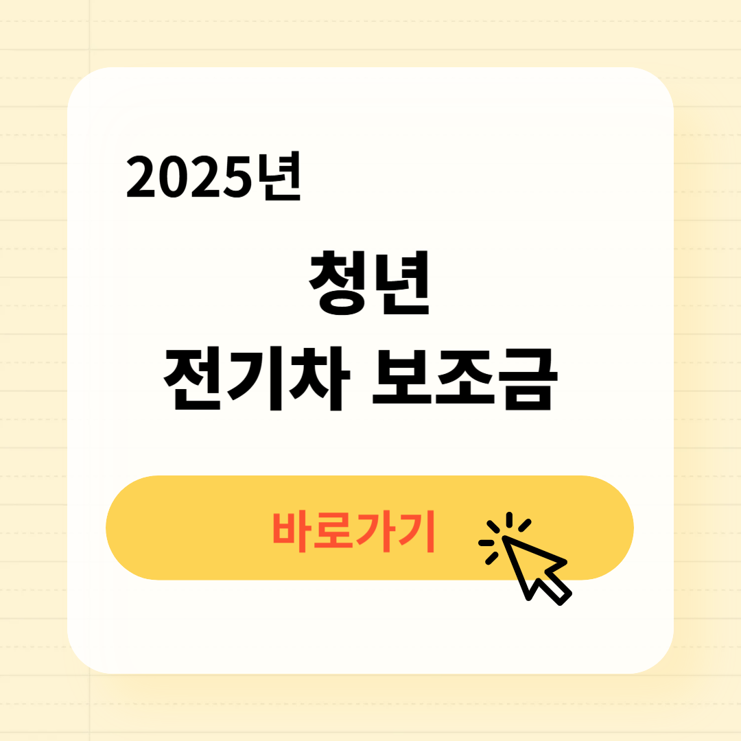 2025 청년 전기차 보조금