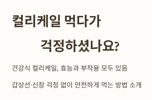 서론: 컬리케일 먹다가 걱정하셨나요?
