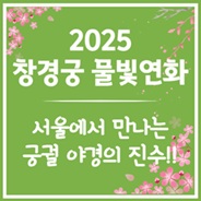 2025 창경궁 물빛연화