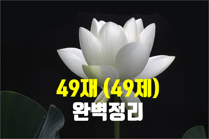 49제 49재 의미 시기 등 완벽 정리