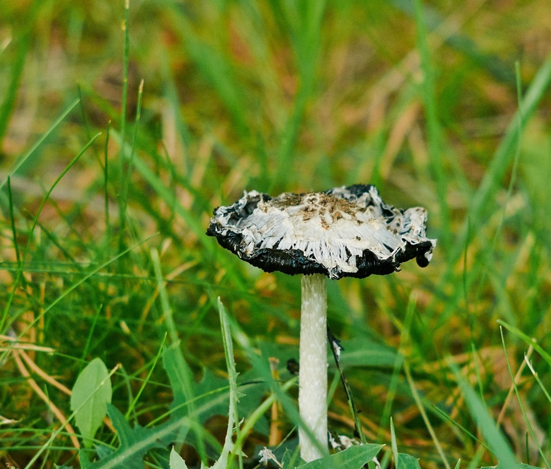 돈보다 중요한 것은 ‘하루를 통제하는 힘’이다