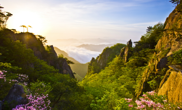 대둔산 등산코스