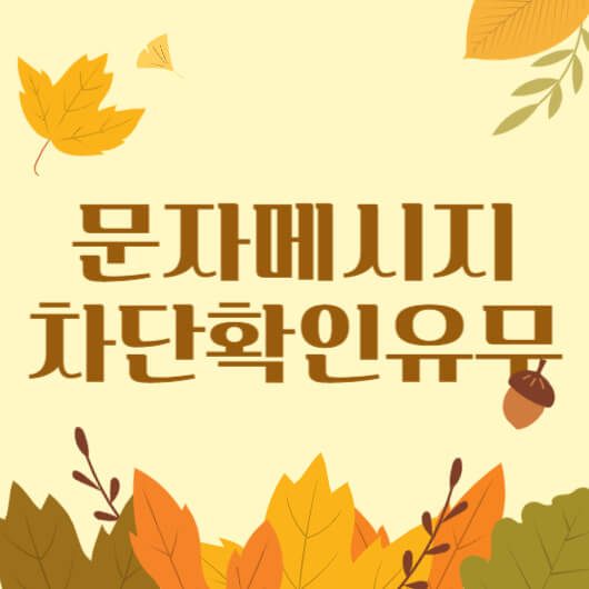 문자메시지 차단확인유무