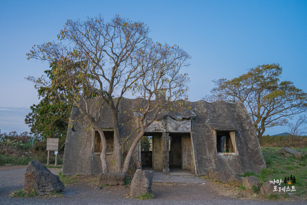 제주 성이시돌 목장 테쉬폰