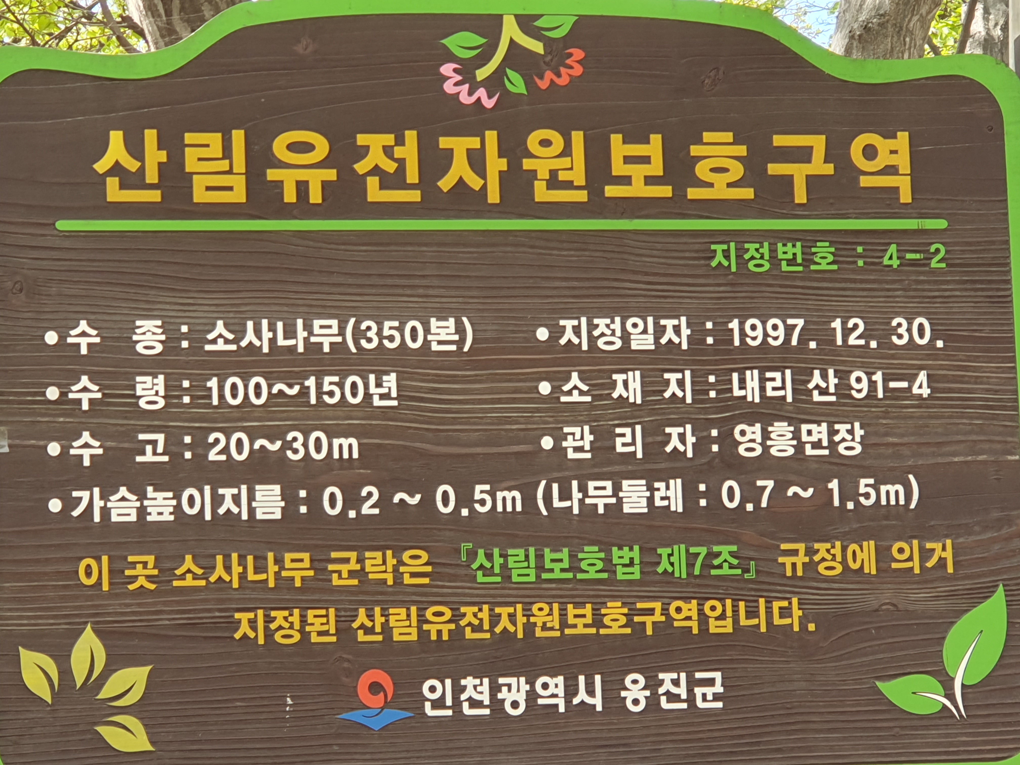 소사나무 군락지 팻말