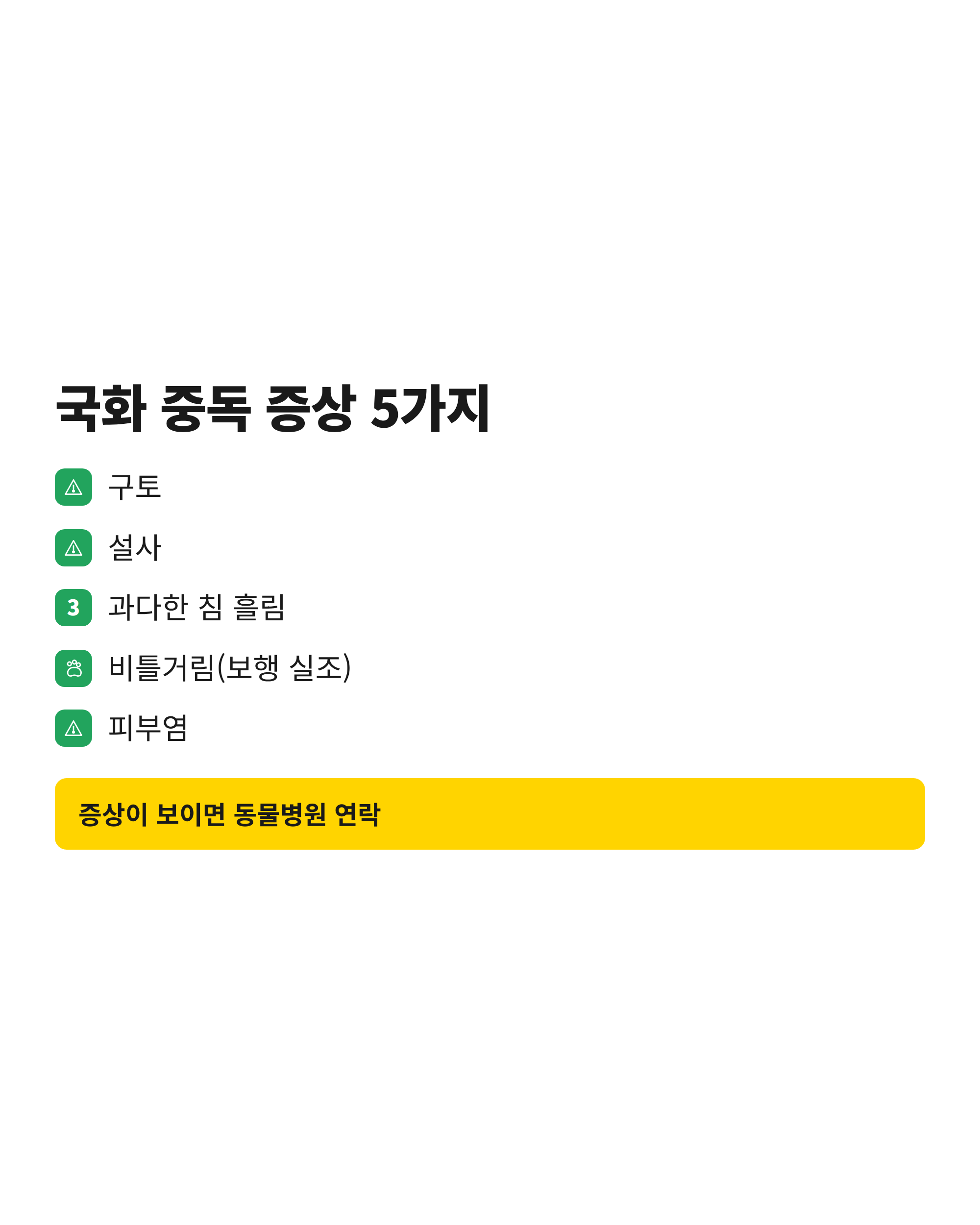 국화를 먹거나 만진 반려동물에게 나타날 수 있는 증상 5가지