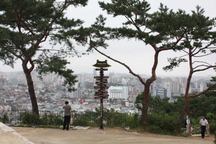 전망