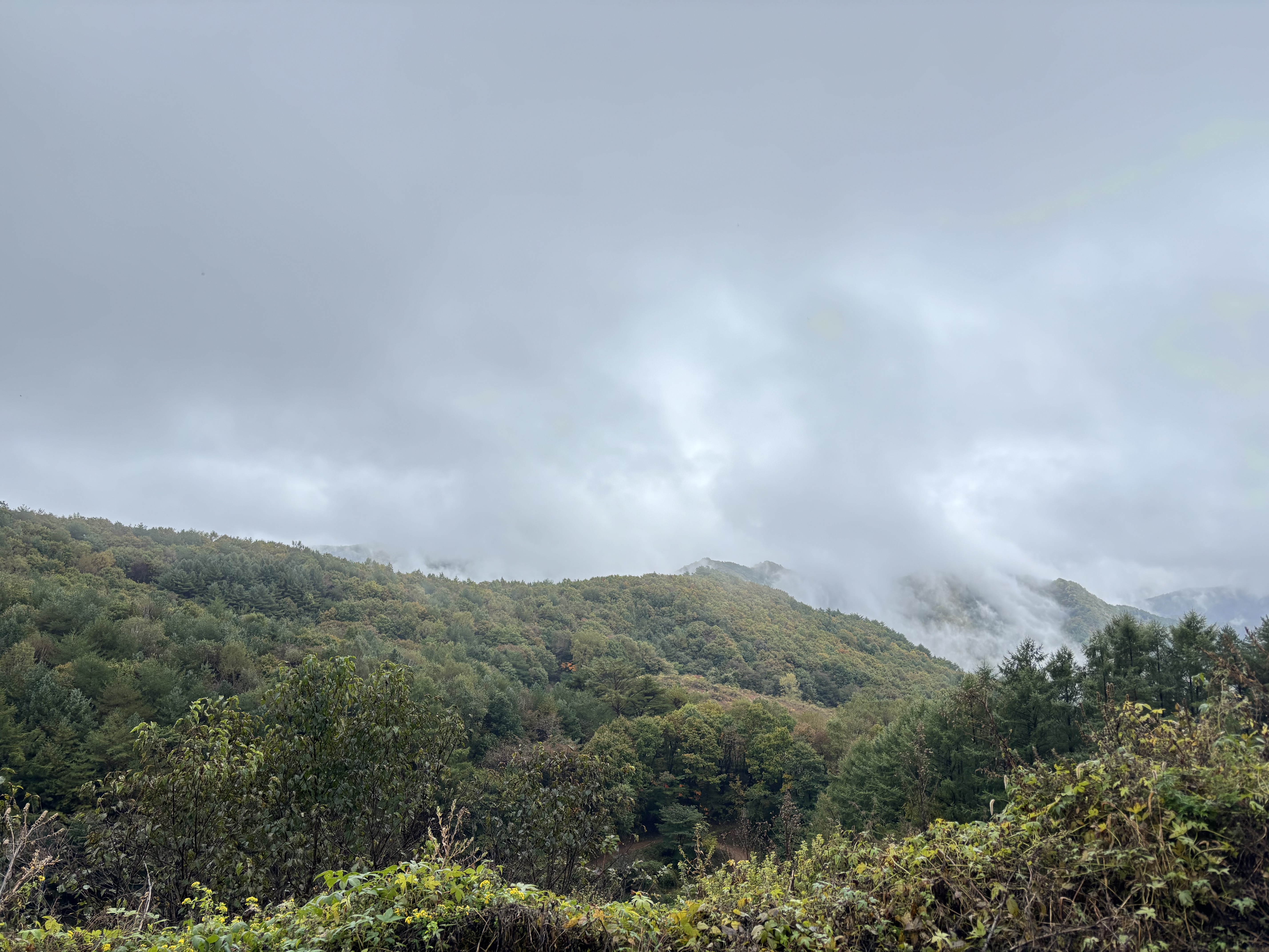 민둥산