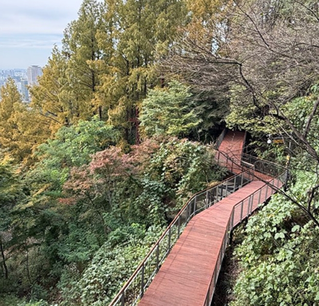 ‘남산 하늘숲길’, 전망대·정원까지 산책명소