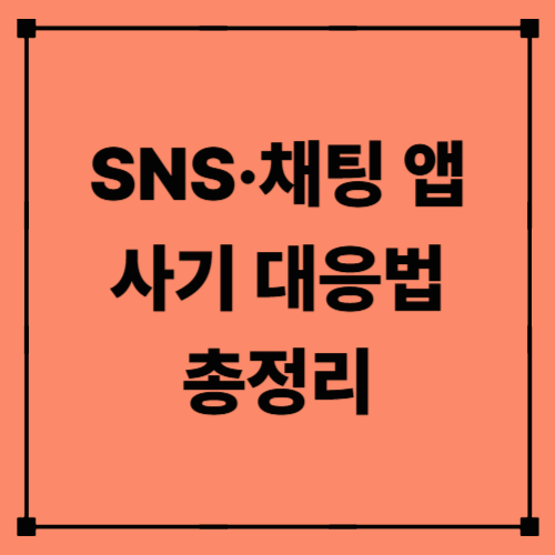 SNS·채팅 앱 사기 대응법 총정리