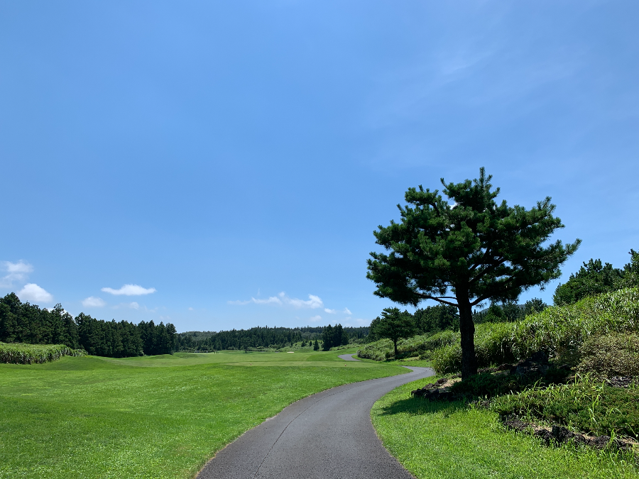 사이프러스 CC 골프장 코스