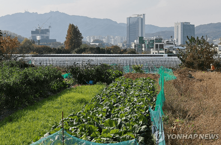 서울 수도권 4곳 그린밸트해제 신규택지 조성