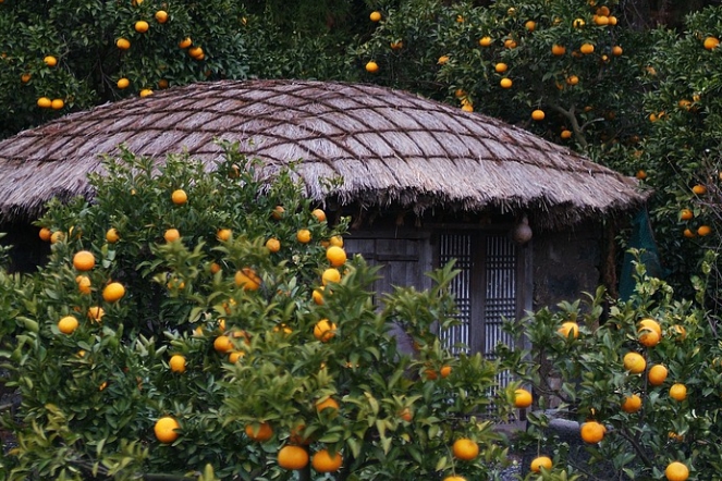 제주도 가볼만한 곳