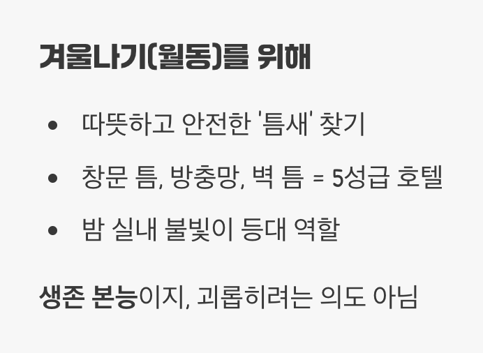 2. 우리 집에 왜 들어오려고 할까?