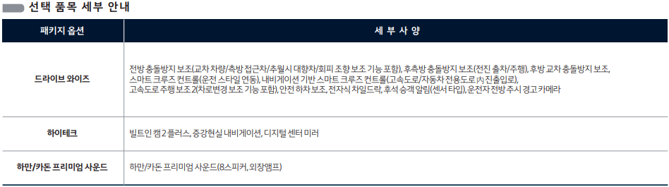 2.5 가솔린 터보 가격(X-pro) 옵션