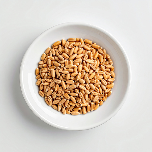 항산화 및 면역력 강화