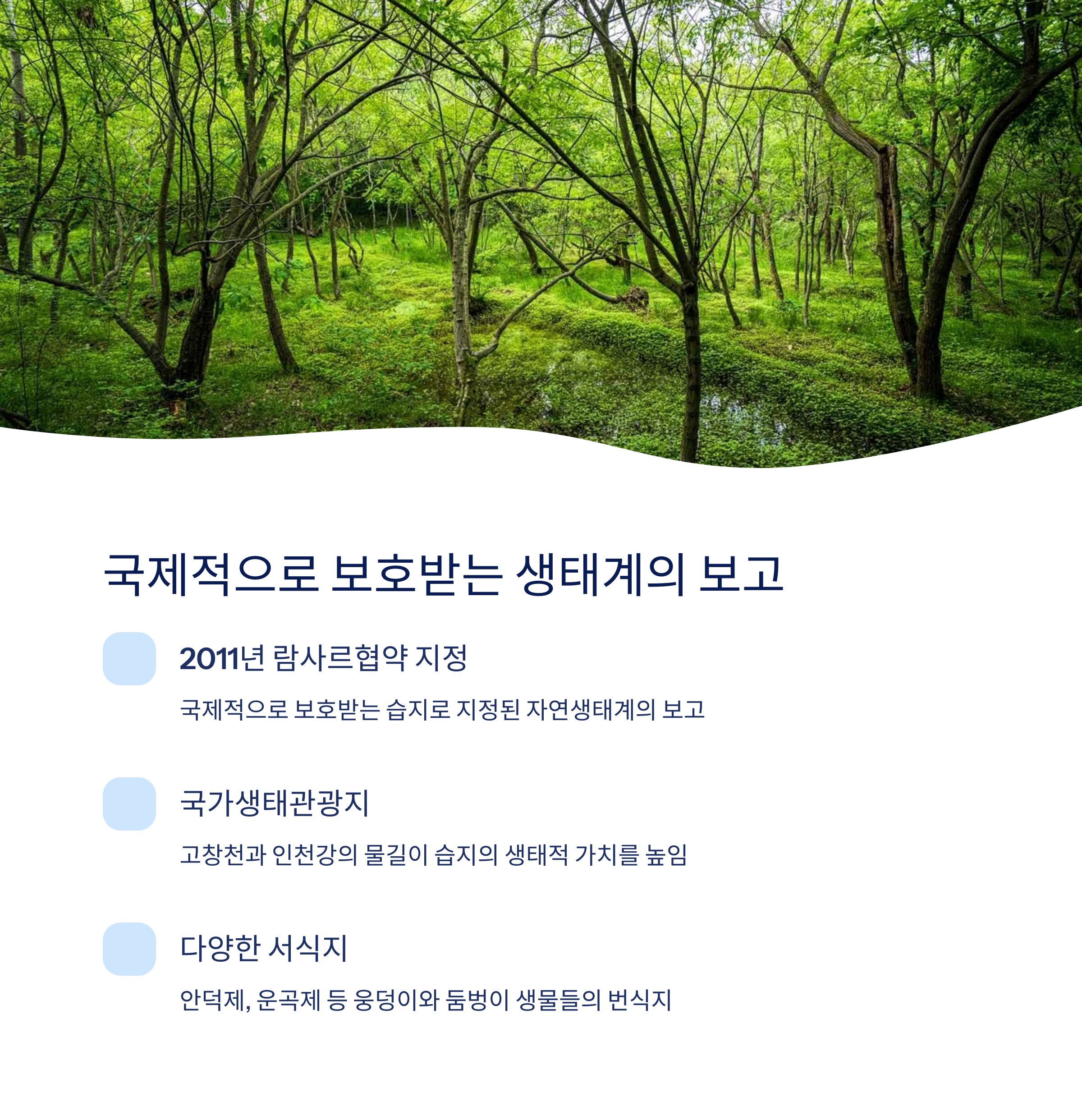 국제적으로 보호받는 생태계의 보고