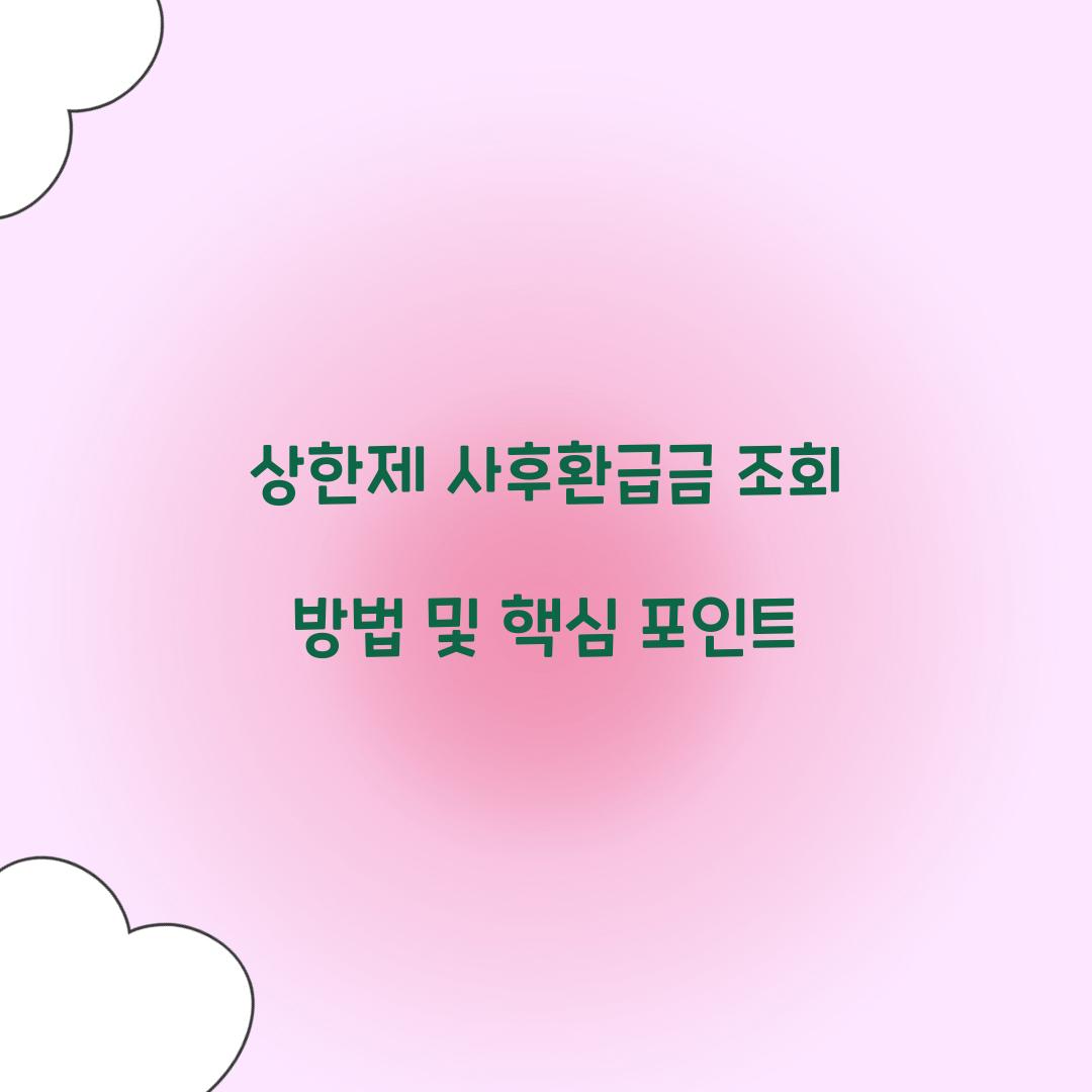 상한제 사후환급금 조회