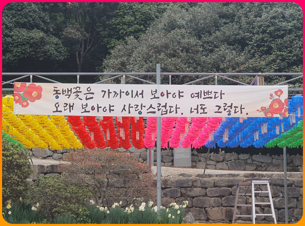 선운사_동백나무숲