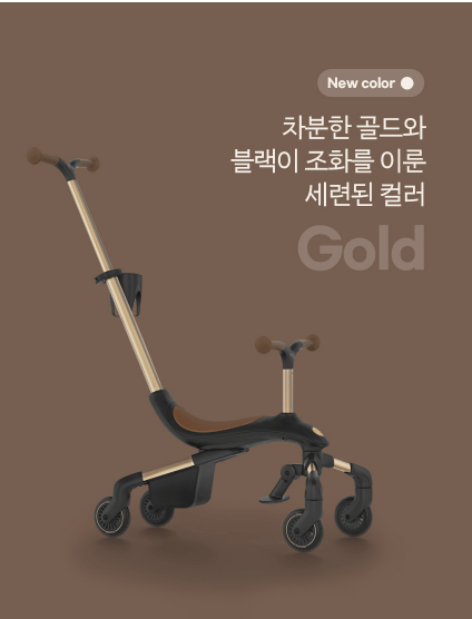 파파야나컴팩트-트라이크-디나인