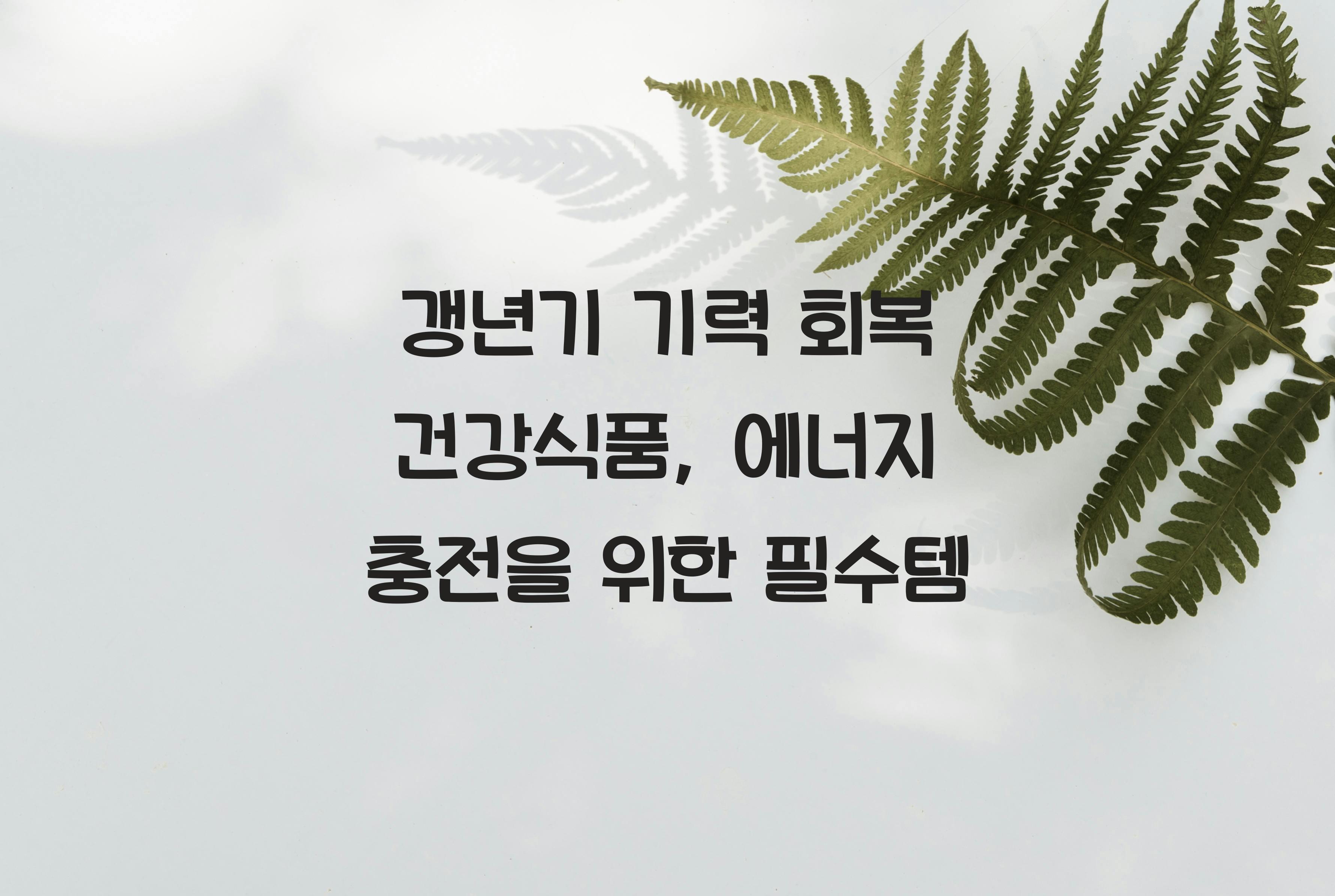 갱년기 기력 회복 건강식품