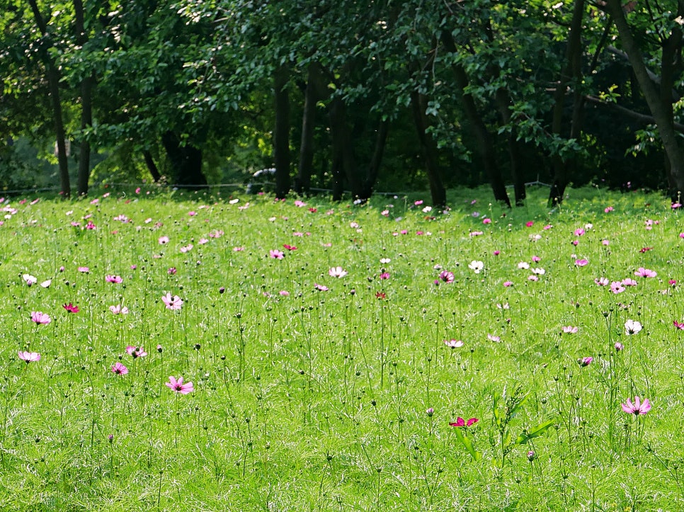 수원 탑동시민농장