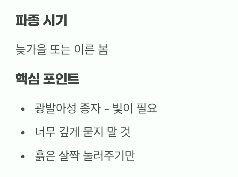 아주 작은 씨앗의 위대한 여정