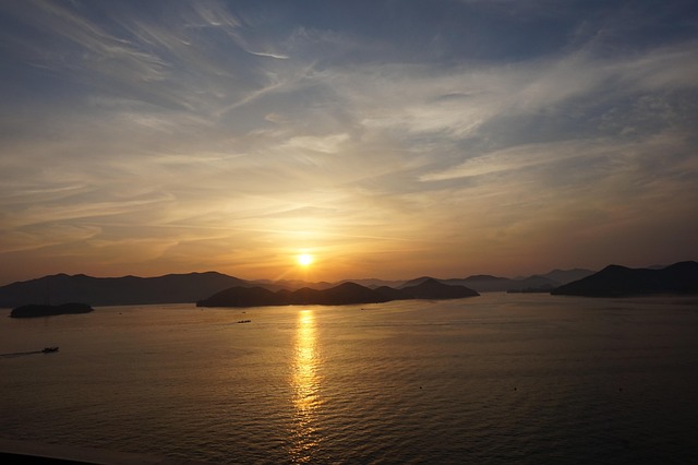 2026년 신년운세